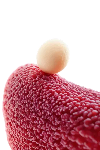 Microscopic view, skin maggots infestation, human body, close-up, parasitic larvae, white eggs, red inflamed skin, pus-filled blisters, magnified texture, shallow depth of field, dramatic lighting, ee