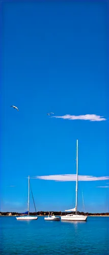 marseillan,sailing boat,sailboat,sailing blue yellow,sailboats,sailing boats,sailing blue purple,catamarans,sail boat,catamaran,sailing yacht,bareboat,ferrant,trimarans,trimaran,voiles,islamorada,agde,edgartown,formentera,Illustration,Abstract Fantasy,Abstract Fantasy 19