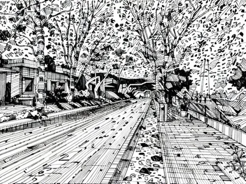 pointillism,pen drawing,plane trees,tram road,birch alley,sidewalk,tree lined lane,bicycle path,tree grove,cartoon forest,mono-line line art,pencil art,cherry blossom tree-lined avenue,mono line art,b