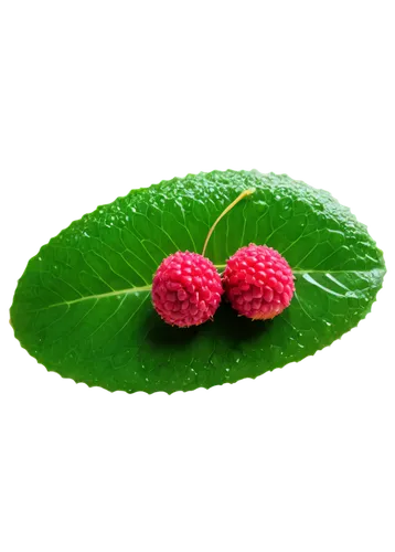 Litchi fruit, close-up, green skin, rough texture, juicy pulp, sweet aroma, morning dew, soft natural light, 3/4 composition, shallow depth of field, warm color tone, cinematic lighting.,two fresh ras