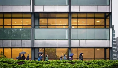 Modern architectural building, Vancouver BC, Canada, rainy day, cloudy sky, glass facade, steel structure, geometric shape, green roof, urban cityscape, busy streets, people walking, reflection in win