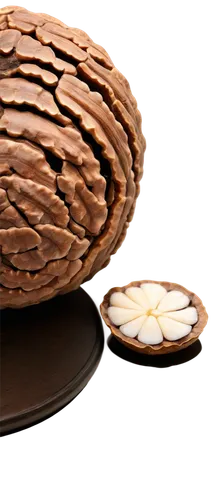 cocoa beans,coconut shell,coconut shells,pine cone ornament,peeled sunflower seeds,indian almond,callebaut,coconut fruit,almond nuts,unshelled almonds,lebkuchen,pine cone,almond,layer nougat,seedpod,egg shells,3d rendered,seed pod,wooden ball,coconut ball,Conceptual Art,Daily,Daily 28