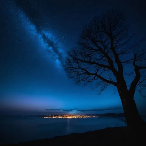 isolated tree,the night sky,blue hour,night sky,milky way,the milky way,lone tree,lake taupo,nightsky,astronomy,milkyway,south island,blue moment,nightscape,starry sky,new zealand,north island,bioluminescence,night image,night photography,Photography,Documentary Photography,Documentary Photography 14