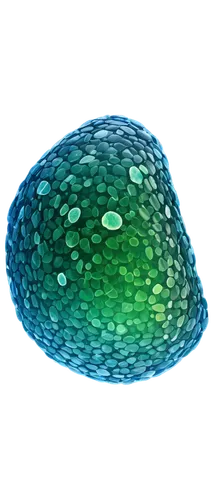 mitochondrion,t-helper cell,cell structure,euploea core,cell,isolated product image,mitochondria,chloroplasts,biosamples icon,macrocystis,macrocystis pyrifera,nucleoid,torus,atom nucleus,cellular,egg net,globule,gel capsule,gradient mesh,carapace,Illustration,American Style,American Style 02