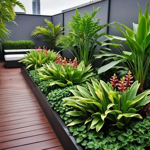 landscape design sydney,landscape designers sydney,roof garden,garden design sydney,roof terrace,balcony garden,exotic plants,outdoor plants,balcony plants,ornamental plants,plant bed,roof landscape,bromelia,pineapple lilies,perennial plants,green plants,potted plants,climbing garden,wooden decking,flowering plants,Photography,General,Realistic