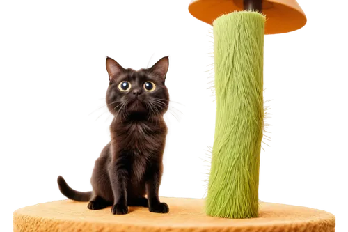 Cartoon style, humorous, fleas on fur, tiny legs, big eyes, whiskers, furry friends, cat and dog together, playful paws, scratching posts, warm lighting, shallow depth of field, soft focus, colorful t