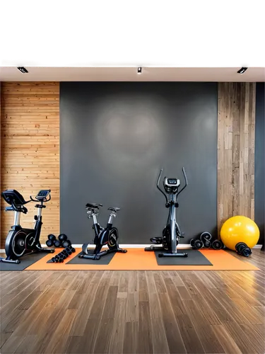 fitness room,technogym,fitness center,fitness facility,workout equipment,exercisers,home workout,leisure facility,kettlebells,precor,workout items,exercise ball,sportif,exercices,cybex,ellipticals,sportier,workout icons,elitist gym,sportsclub,Unique,Design,Knolling