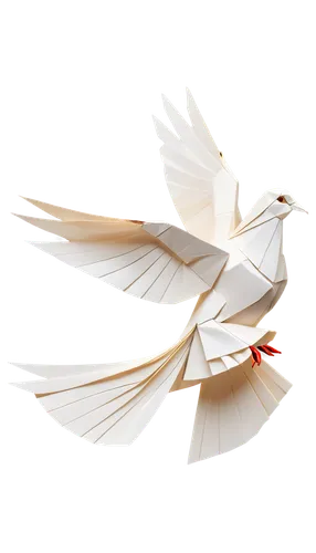 dove of peace,doves of peace,peace dove,white dove,white bird,holy spirit,fairy tern,royal tern,pentecost,pentecostalist,peaceworks,white egret,angel wing,whitewings,white feather,peacebuilding,tropicbird,peacemaking,doves,dove,Unique,Paper Cuts,Paper Cuts 02