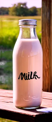 Glass bottle, semi-transparent milk, creamy white color, rounded shape, silver cap, morning sunlight, soft focus, shallow depth of field, warm tone, still life composition, rustic wooden table, farmho