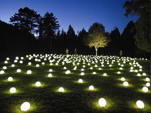 Example input 1,landscape lighting,environmental art,energy-saving bulbs,tea-lights,flood light bulbs,fireflies,fairy lanterns,ambient lights,christmas luminaries,tea lights,tealights,light art,glowwo