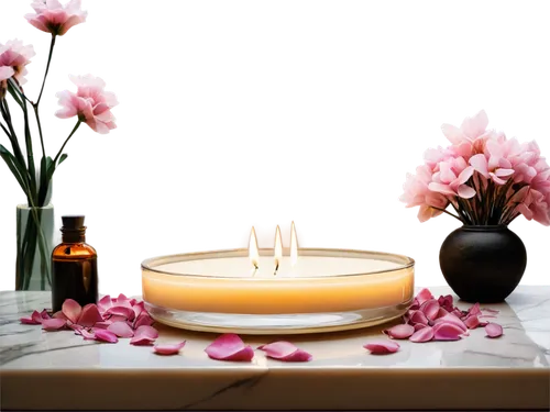 singing bowl massage,fragrance teapot,flower essences,home fragrance,water lily plate,tea light holder,tea light,tuberose,spa items,natural perfume,parfum,flowering tea,naturopathy,votive candle,isolated product image,creating perfume,citronella,bath oil,massage oil,singing bowl,Illustration,Retro,Retro 17