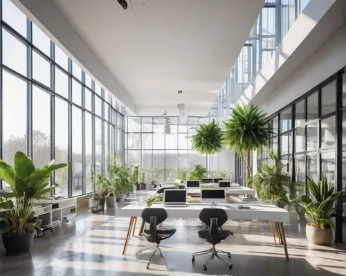 modern office,wintergarden,daylighting,atriums,school design,bureaux,modern decor,indoor,lunchroom,offices,atrium,sunroom,conservatory,winter garden,contemporary decor,interior modern design,interior design,creative office,breakfast room,lunchrooms,Illustration,Realistic Fantasy,Realistic Fantasy 05