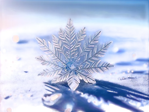 snowflake background,ice crystal,blue snowflake,ice,frost,crystalize,snowflake,snow flake,ice pick,frostbitten,deepfreeze,crystalized,frostily,ice crystals,icemark,crystalline,frosts,icewine,winter background,frostiness,Illustration,Japanese style,Japanese Style 01