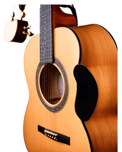 acoustic guitar,takamine,classical guitar,guitarra,collings,chitarra,guitare,guitar,cittern,acoustically,the guitar,requinto,theorbo,fingerstyle,fingerpicking,stringed,epiphone,fender,acoustic,rampone,Conceptual Art,Daily,Daily 20