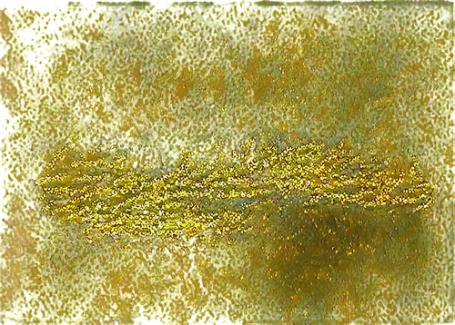 tree texture,watercolour texture,forest moss,tree moss,green tree phyton,veil yellow green,fir-tree branches,hydrilla,fir branches,prickly branches pine,sporophyte,pine branches,watermilfoil,bryophyte,flora abstract scrolls,natural brush,feather bristle grass,bryophytes,sporophytes,elderflower,Illustration,Retro,Retro 21