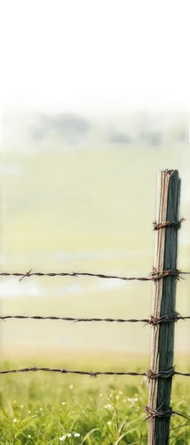 Rural landscape, rusty barbed wire fence, worn wooden posts, tangled weeds, overgrown grass, morning dew, soft sunlight, panoramic view, shallow depth of field, warm color tone, cinematic lighting, de