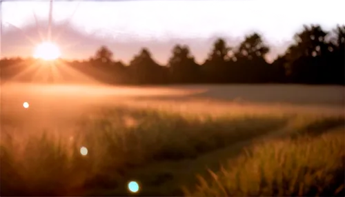 lens flare,volumetric,wheat field,wheat fields,wheatfield,goldenlight,grain field,silver grass,cornfield,barley field,ricefield,wheat crops,sunburst background,onion fields,wheatfields,needlegrass,yellow grass,long grass,grasses,sun rays,Illustration,Paper based,Paper Based 01