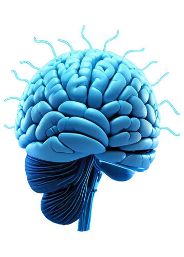 brain icon,brainlab,enterbrain,neuroscientific,neuroprotection,neuromarketing,neuroplasticity,neurobiological,nootropic,neurogenetics,prefrontal,thalamic,neurophysiological,thalamocortical,neurotechnology,neuropsychopharmacology,neocortex,neurodegenerative,cerebrum,neurocognitive,Conceptual Art,Daily,Daily 20