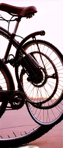 Vintage bicycle, metal frame, brown leather seat, rusty chain, old-fashioned bell, white wall tires, morning dew, soft sunlight, 3/4 composition, shallow depth of field, warm color tone, cinematic lig