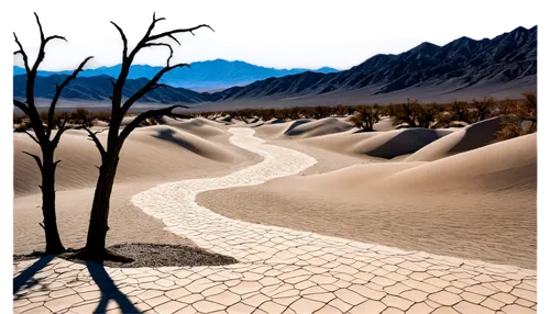 arid landscape,dry lake,braided river,desert desert landscape,desertification,desert landscape,arid land,arid,sand road,stone desert,sand paths,desert background,capture desert,badwater basin,desert,mojave desert,death valley,salt desert,argentina desert,the desert,Conceptual Art,Oil color,Oil Color 19