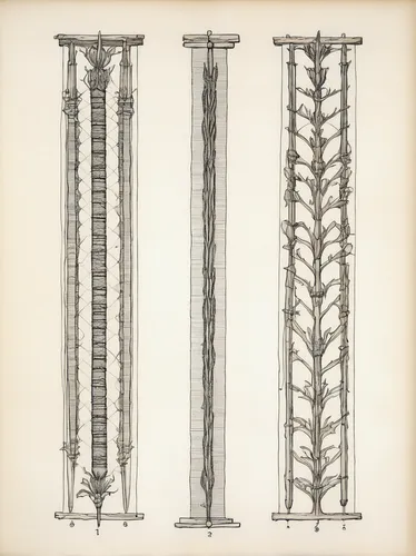 Produce a simplified sarcomere diagram suitable for educational purposes.,roman columns,doric columns,columns,entablature,column chart,baluster,ornamental dividers,morris column,spines,pillars,staves,