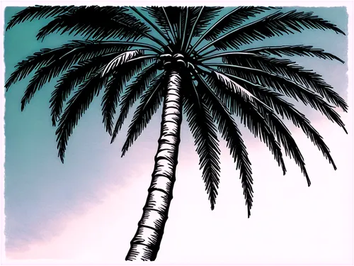 palm tree,palm tree vector,palmtree,coconut palm tree,palm,coconut tree,washingtonia,wine palm,palms,palm tree silhouette,palmera,palm branches,coconut palm,easter palm,cartoon palm,giant palm tree,fan palm,palm forest,coconut palms,tropical tree,Illustration,Black and White,Black and White 30