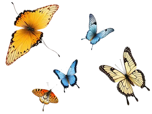 butterfly background,butterfly clip art,butterfly vector,butterflies,morphos,blue butterfly background,papillons,mariposas,butterfly pattern,butterfly,swallowtails,rainbow butterflies,lepidopterans,butterfly day,butterfly wings,butterfly isolated,chasing butterflies,butterfly floral,isolated butterfly,ulysses butterfly,Art,Artistic Painting,Artistic Painting 48