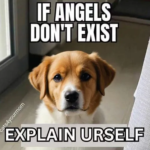 dog angel,angle,atheists,existential,angelology,angelos