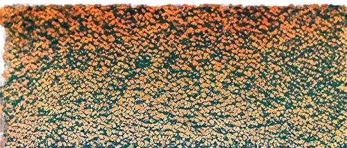 kngwarreye,orange floral paper,puccinia,light leak paper,cytokeratin,carrot print,biofilm,overprints,orange dots,nanorods,oilpaper,kapton,venus surface,terrazzo,pigment,nanolithography,yeasts,gradient blue green paper,photopigment,seurat,Art,Artistic Painting,Artistic Painting 38