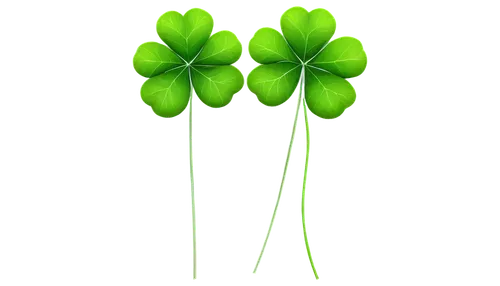 shamrock balloon,clovers,patrol,long ahriger clover,4-leaf clover,redwood sorrel,medium clover,five-leaf clover,shamrocks,clover leaves,three leaf clover,four-leaf clover,4 leaf clover,shamrock,four leaf clover,aaa,flowers png,cleanup,narrow clover,lucky clover,Conceptual Art,Oil color,Oil Color 02