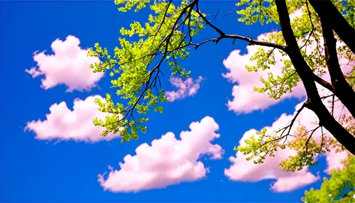 Windy scenery, blue sky, white puffy clouds, gentle breeze, blowing trees, swaying branches, leaves dancing in air, soft focus, warm sunlight, 3/4 composition, shallow depth of field, vibrant color to