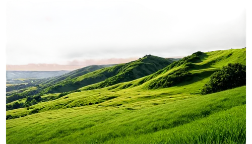 green hill, rolling terrain, soft grass, gentle slope, serene atmosphere, cloudy sky, warm sunlight, subtle shading, 3/4 composition, panoramic view, cinematic lighting, detailed texture, realistic re