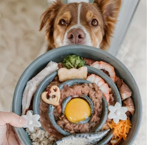 bento,pet vitamins & supplements,bibimbap,katsudon,sushi plate,rice bowl,food share,bento box,sushi,small animal food,pet food,gimbap,noodle bowl,food presentation,tibetan bowl,sushi roll images,baby playing with food,food collage,dog food,food platter