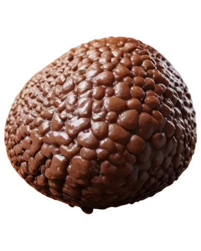 Brown turd, glossy surface, rounded shape, detailed texture, solo, centered composition, shallow depth of field, warm lighting, close-up shot, realistic, high-resolution details, subtle shadows.,brown