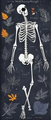 Write a hauntingly beautiful poem about skeleton leaves dancing in the moonlight.,halloween paper,vintage skeleton,halloween border,skeletal,halloween poster,skeletal structure,skeletons,pile of bones