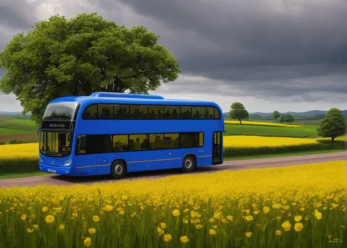 optare tempo,dennis dart,optare solo,english buses,neoplan,postbus,trollius download,double-decker bus,skyliner nh22,trolleybus,stagecoach,rapeseed field,springtime background,setra,bus,the system bus,trolley bus,trolleybuses,city bus,rapeseed flowers,Illustration,American Style,American Style 02