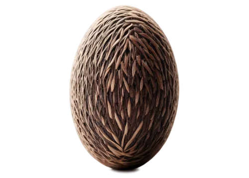 seedpod,seed,seed pod,stereocilia,acorn,onion seed,seed wheat,ergot,pine cone,durian seed,peeled sunflower seeds,spikelet,brown egg,betelnut,enoki,mitochondrion,egg,pine cone ornament,strand of wheat,fingerprint,Art,Artistic Painting,Artistic Painting 36