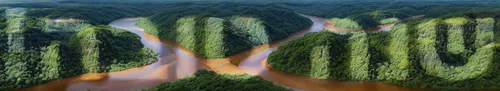 fluvial landforms of streams,green trees with water,meanders,aura river,virtual landscape,panoramical,trees with stitching,rivers,river landscape,a river,tropical and subtropical coniferous forests,river of life project,coniferous forest,fractalius,river delta,landform,riparian forest,tree tops,sete cidades,mckenzie river,Realistic,Landscapes,River Landscape