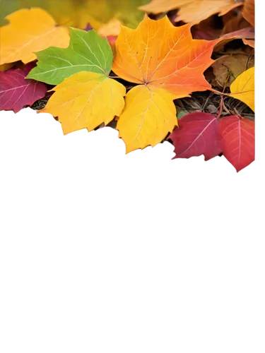 autumn background,leaf background,colored leaves,autumn leaves,colorful leaves,autumn leaf,autumn frame,autumnal leaves,colors of autumn,fall leaves,fall leaf,autumn leaf paper,fallen leaves,autumn theme,leaf color,fall foliage,yellow leaves,autumn colors,autumn foliage,round autumn frame,Conceptual Art,Sci-Fi,Sci-Fi 23