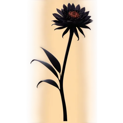 black salsify,african daisy,rudbeckia,retro flower silhouette,flowers png,purple salsify,south african daisy,helianthus,rudbeckia fulgida,wood daisy background,rudbeckia nidita,flower illustrative,echinacea purpurea,sand coreopsis,black-eyed susan,tanacetum balsamita,echinacea,black and dandelion,flower illustration,crown chakra flower,Art,Classical Oil Painting,Classical Oil Painting 05