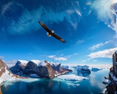 wingsuit,antarctic,antarctica,floating over lake,couloir,antartica,antarctic bird,antarctique,take-off of a cliff,transantarctic,baffin island,steep,soaring,stratospheric,arctic antarctica,katabatic,overflight,greenland,flying penguin,skydiving,Photography,General,Commercial