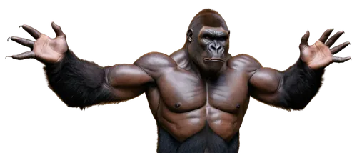 gorilla,apeman,ape,grodd,shabani,windigo,simian,silverback,jarawa,rajang,derivable,mandrill,gigantopithecus,angantyr,orangutan,werewolve,rilla,gimlin,konga,haramirez,Conceptual Art,Daily,Daily 07