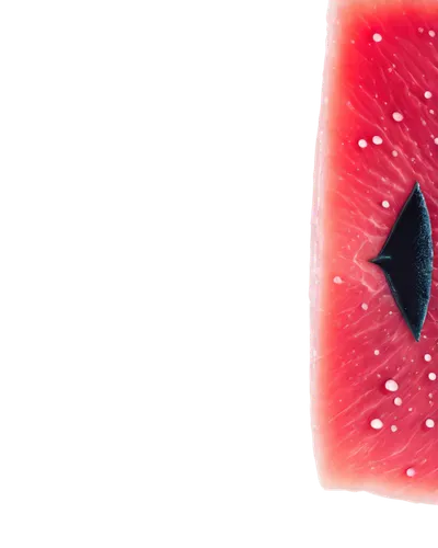 sliced watermelon,watermelon slice,watermelon background,watermelon painting,watermelon wallpaper,cut watermelon,gummy watermelon,watermelon pattern,watermelon,watermelons,watermelon umbrella,dragonfruit,red papaya,watercolor fruit,melon,fruit slices,seedless fruit,red fruit,seedless,red popsicle,Illustration,Realistic Fantasy,Realistic Fantasy 18