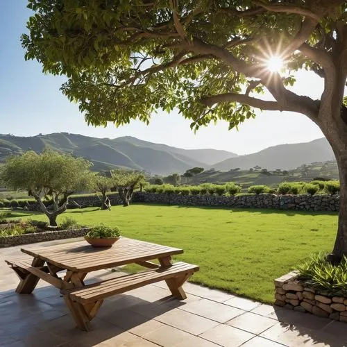 outdoor table and chairs,ojai,franschhoek,napa valley,tokara,winelands,Photography,General,Realistic