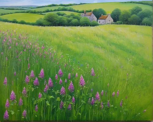 meadow in pastel,lavender field,lavender fields,purple landscape,chives field,meadow landscape,lupines,green meadows,summer meadow,green meadow,wildflower meadow,small meadow,foxgloves,purple loosestrife,flowering meadow,lavenders,flower meadow,pink grass,clover meadow,french lavender,Illustration,Paper based,Paper Based 15