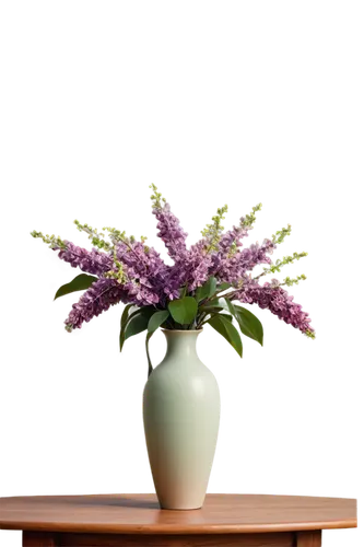 Lilac flowers, pastel purple petals, delicate stems, soft green leaves, rounded vase, ornate wooden table, warm beige background, shallow depth of field, morning sunlight filtering through window, pan