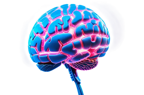 brain icon,cerebrum,magnetic resonance imaging,brain structure,human brain,brain,neurology,cognitive psychology,isolated product image,brainy,medical imaging,acetylcholine,neurath,computed tomography,dopamine,neural,neurotransmitter,neural network,bicycle helmet,neural pathways,Illustration,Realistic Fantasy,Realistic Fantasy 38