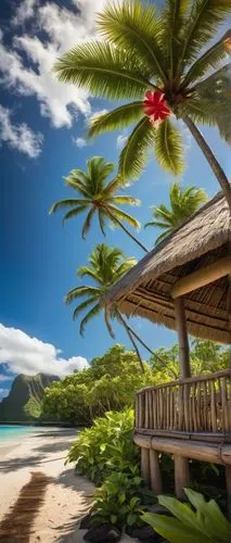 tropical beach,cook islands,french polynesia,tropical island,caribbean beach,tahiti,fiji,moorea,micronesia,beach landscape,south pacific,rarotonga,tropical house,samoa,dream beach,caribbean,bora bora,tropical sea,beach scenery,umbrella beach,Illustration,Realistic Fantasy,Realistic Fantasy 25