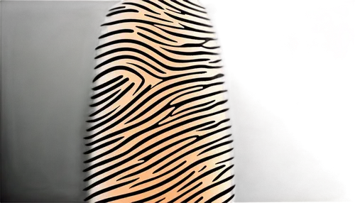 zebra,zebra pattern,diamond zebra,zebra fur,barcode,ferrofluid,fingerprint,cosmetic brush,quagga,zigzag background,plains zebra,bottle surface,striped background,digiart,zigzag pattern,tiger png,barcodes,fingerprints,zebraspinne,stereocilia,Photography,Black and white photography,Black and White Photography 08