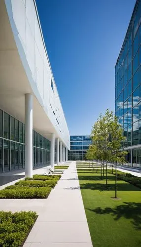 Modern university campus, daytime, clear blue sky, white puffy clouds, sun casting long shadows, building with sleek lines, steel framework, glass curtain walls, cantilevered roofs, minimalist design,